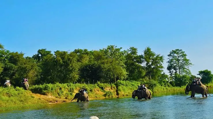 Chitwan Jungle Safari Tour- 2 Nights 3 Days